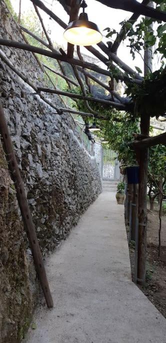 #La Limonaia Della Torretta Βίλα Minori Εξωτερικό φωτογραφία