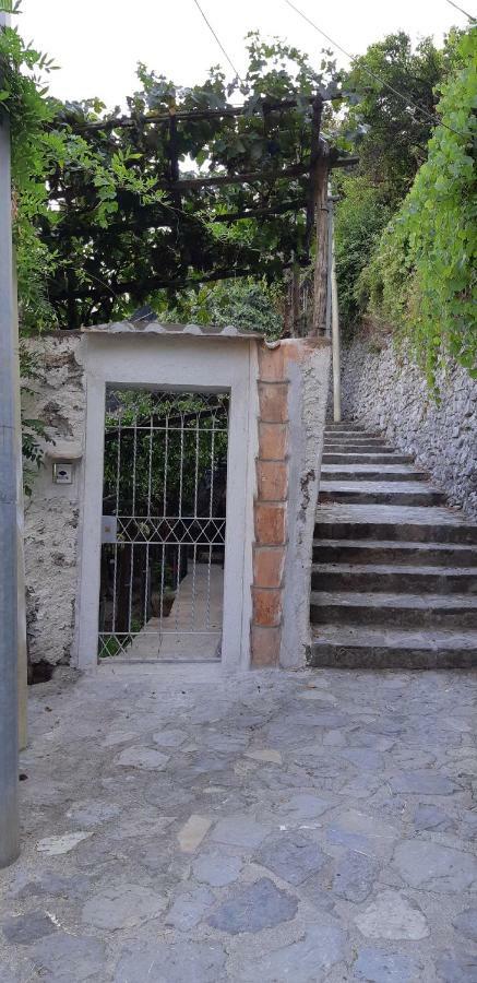 #La Limonaia Della Torretta Βίλα Minori Εξωτερικό φωτογραφία