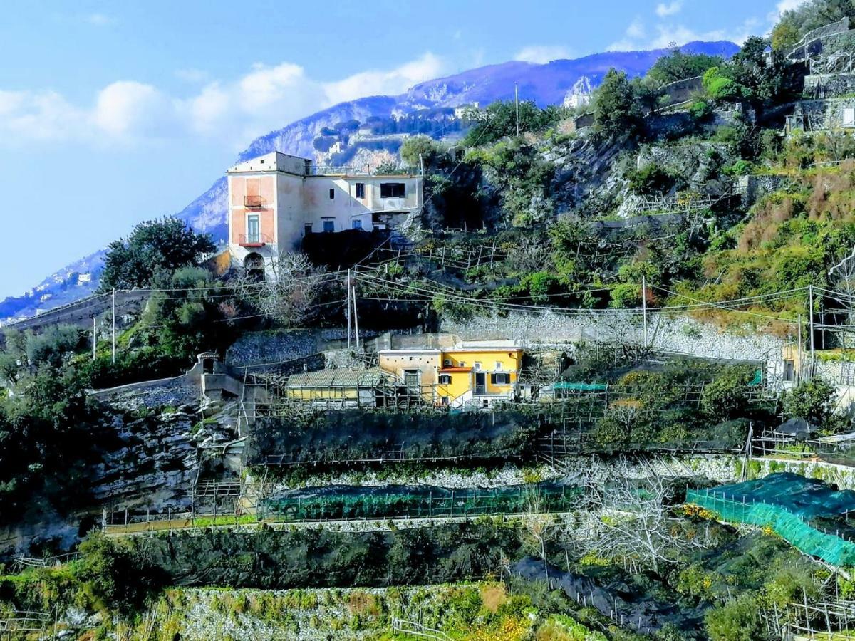 #La Limonaia Della Torretta Βίλα Minori Εξωτερικό φωτογραφία